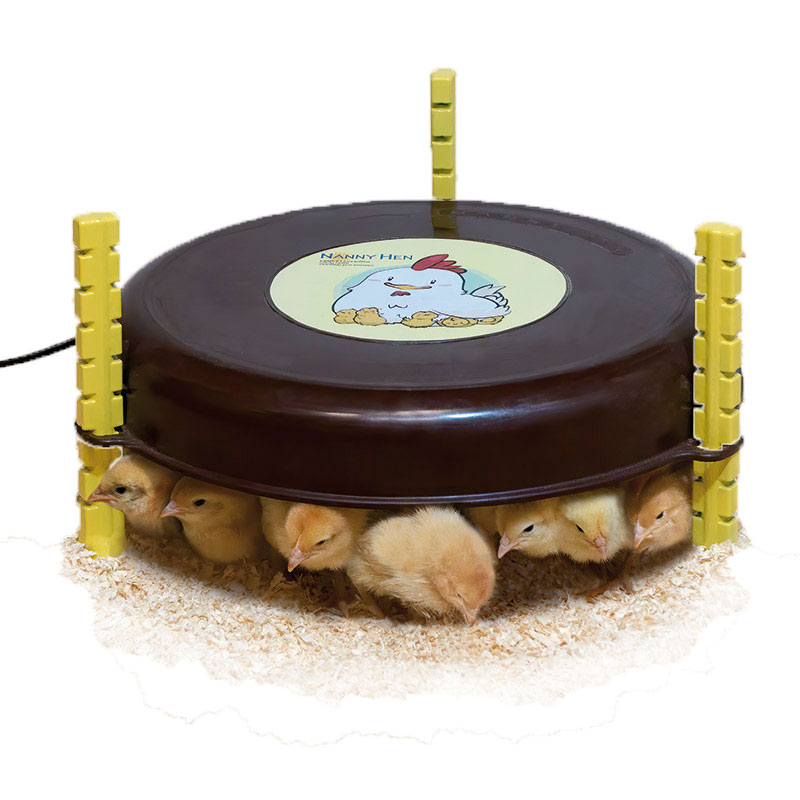 CALEFACTOR POLLIT NANNY HEN USA 110V 36W