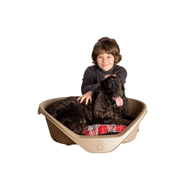 CAMA NIDO 50CM